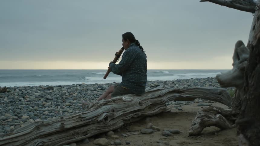 A man is playing an instrument at the beach
