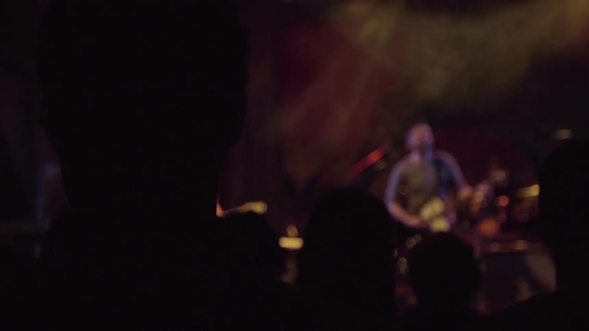 People at a concert