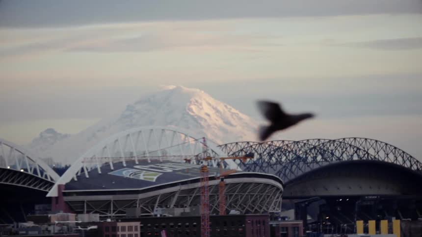 A bird flies in front of buildings during the day