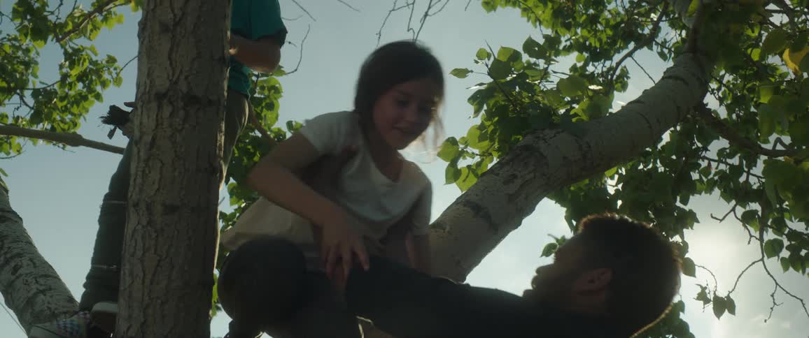 The sun shines on two children in a tree as a man lifts his daughter from a high branch