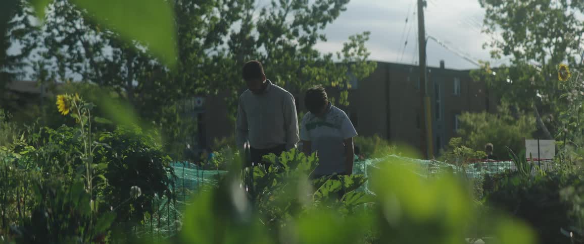 A view of two people walking out near some leaves