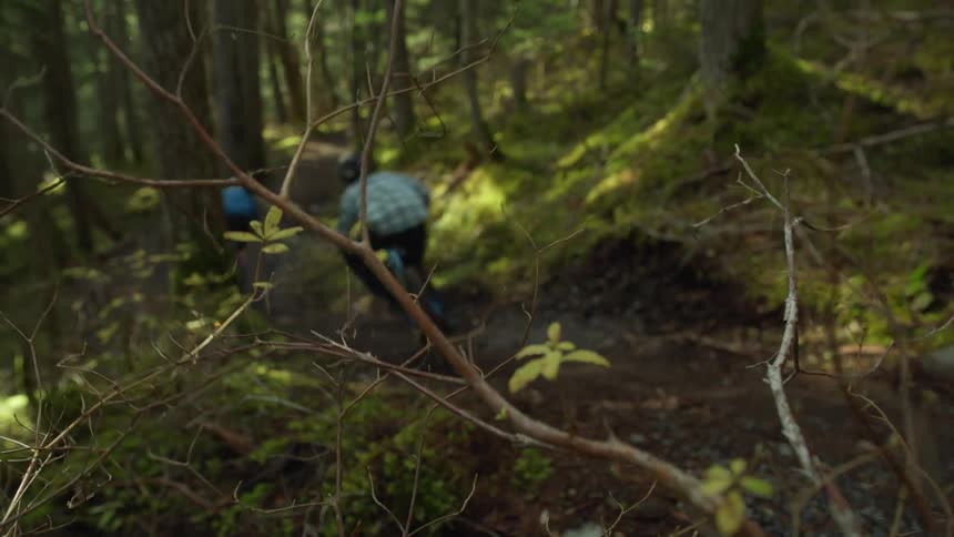 Two people are dirt biking in the forest