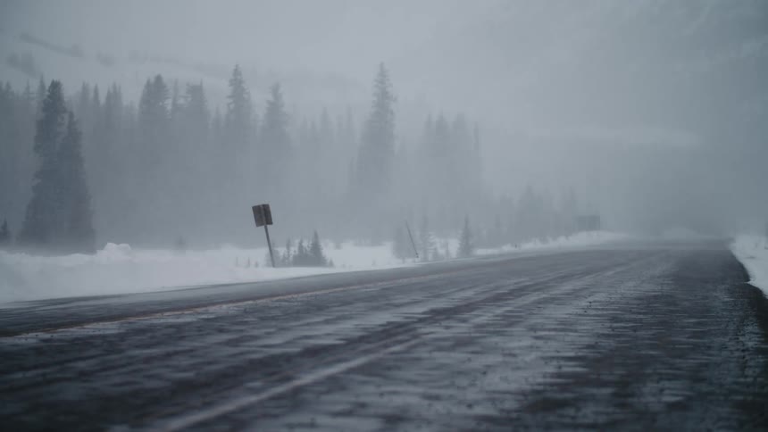 A frost covered road through a forested countryside during a snowstorm
