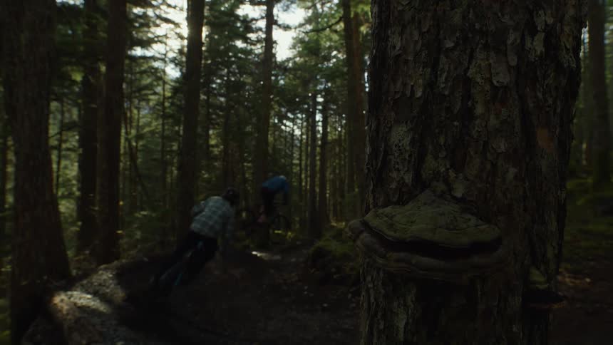 Two people are dirt biking in the wilderness