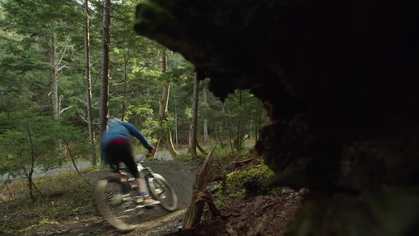 Two kids ride their bicycles on a path in the woods
