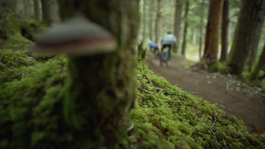 Two people are biking outdoors in the wilderness