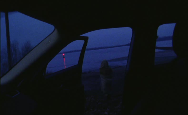 A person exits the car and walks towards the water