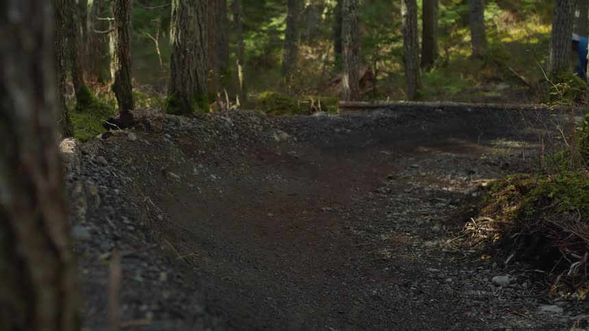 Two boys are dirt biking through the forest