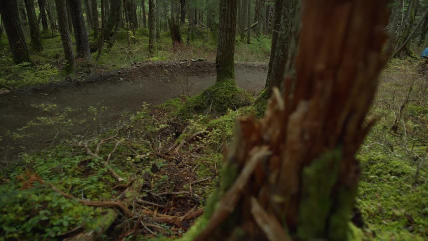 Two people are dirt biking through a wooded area