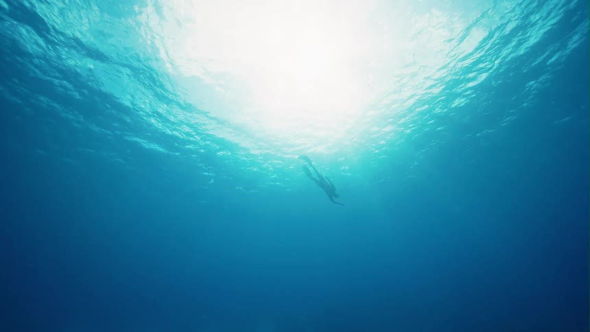 The silhouette of a free diver with long fins descending from the surface