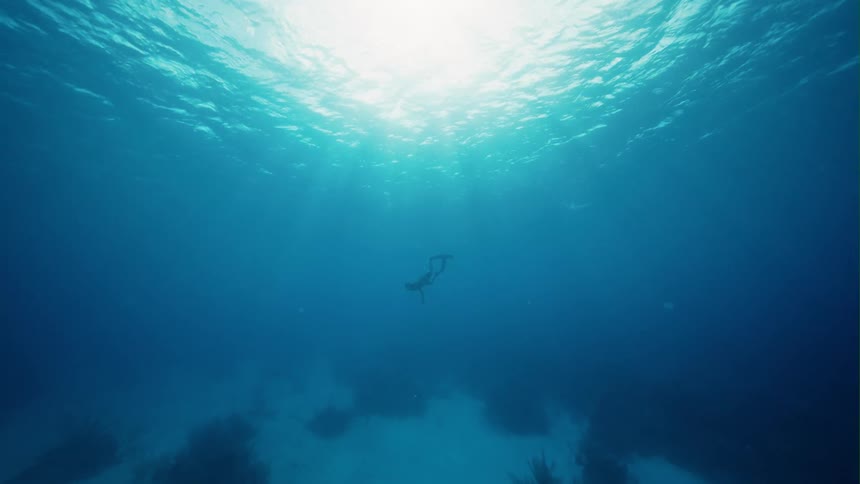 A free diver with long fins swims toward the bottom away from the bright ocean surface