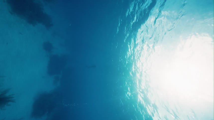 A view of underwater in the ocean is displayed