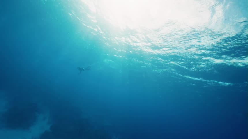 A diver swims beneath the surface of the ocean as sunlight illuminates the depths