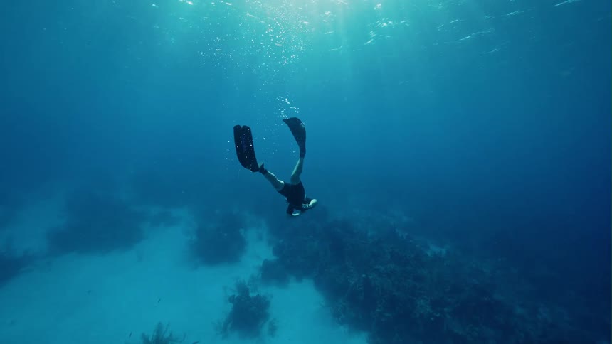 Man dives underwater swimming toward kelp on seafloor