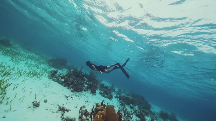 A person swims under water in the ocean