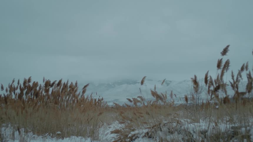 A grassland landscape is displayed in winter
