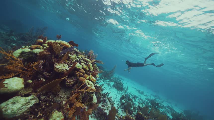 A free diver wearing long fins swims down toward the coral
