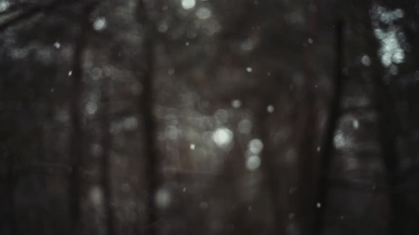 Snowflakes fall against backdrop of dark woods