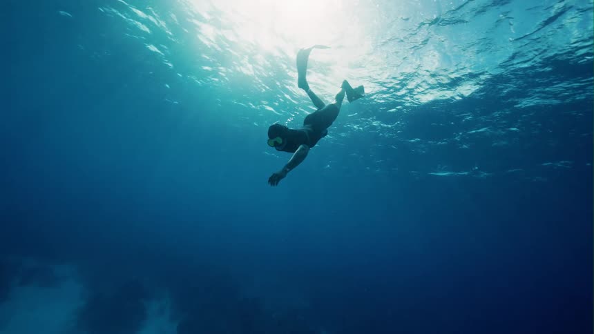 A man dives under water in the ocean and swims