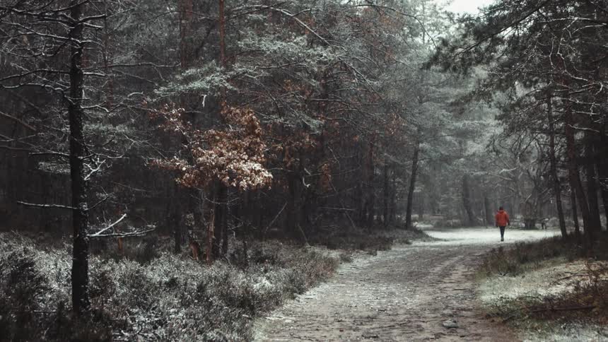 A man walks down a dirt road in a forest as light snow falls