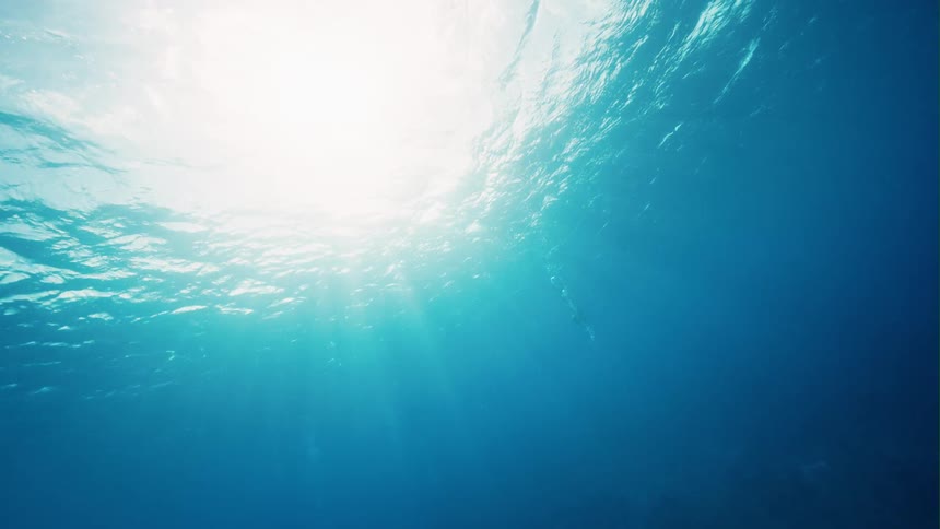 The sun shines down into the rippling water