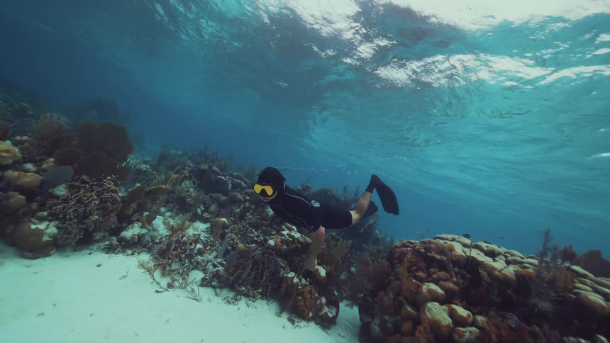 A diver in a wetsuit and goggles swims underwater during the day