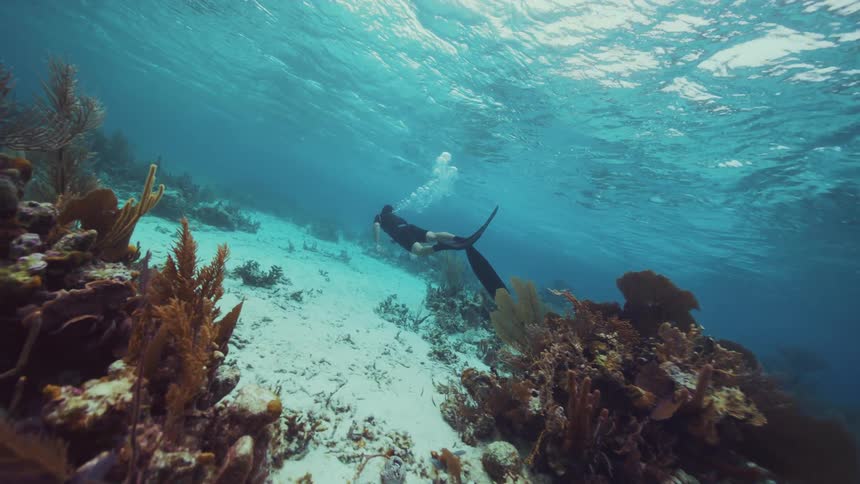 A man is snorkeling in the ocean