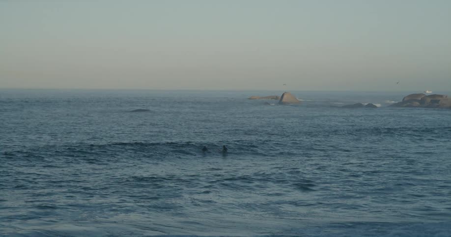 Silhouettes of people in the water just offshore can be seen as the waves roll in and seagulls fly overhead