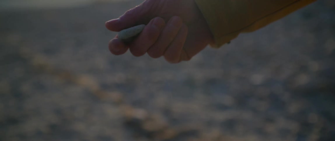 A person is holding a rock and standing at the beach