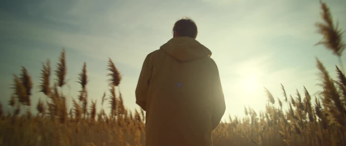 A man touches tall stalks of wheat as he walks through a field