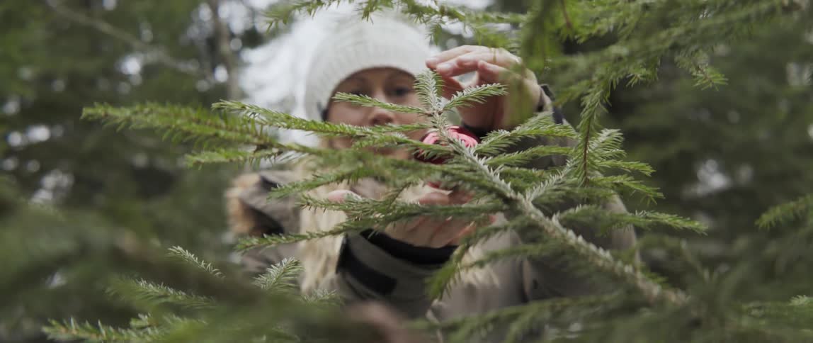 Woman placing ornament on outdoor pine tree with warm joyful holiday spirit