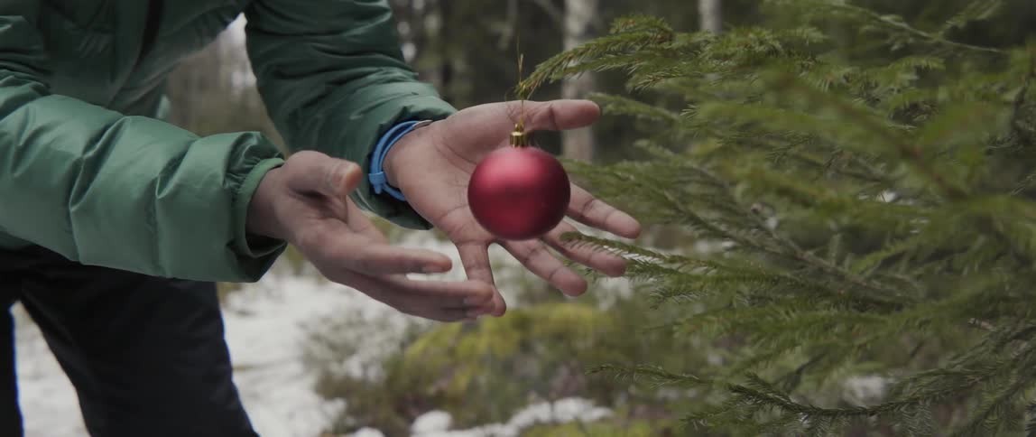A person carefully releases an ornament they've placed on a pine tree outdoors