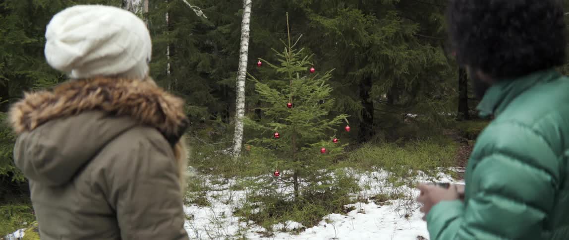 Two people talk before a tree decorated near the woods