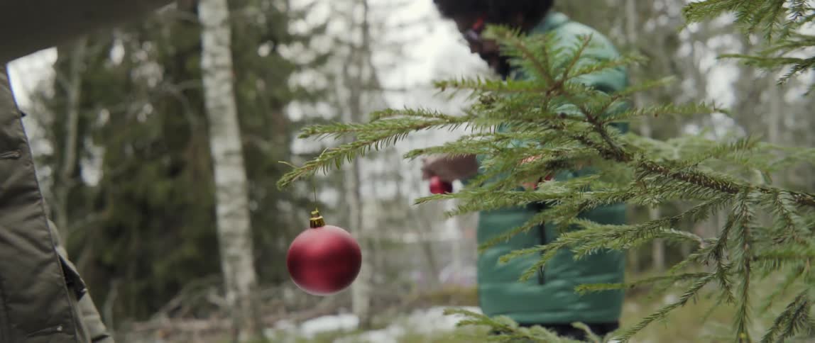 Two people prepare and hang ornaments on a tree outside