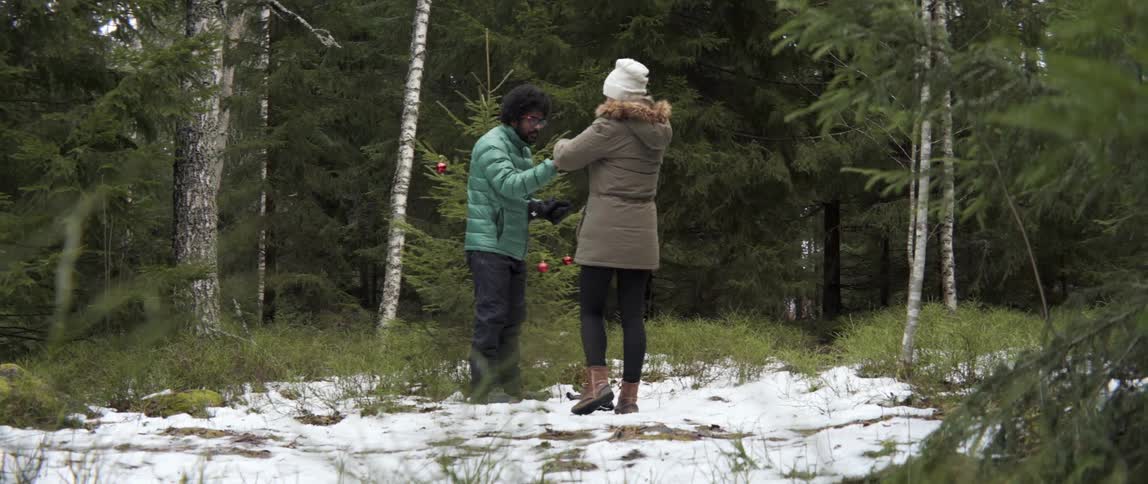A man and woman hang christmas ornaments on a tree in the woods