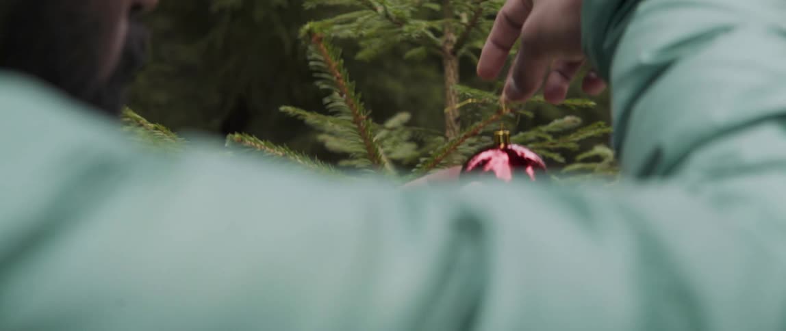 A man holds a red ornament and places it gently on a pine tree outdoors