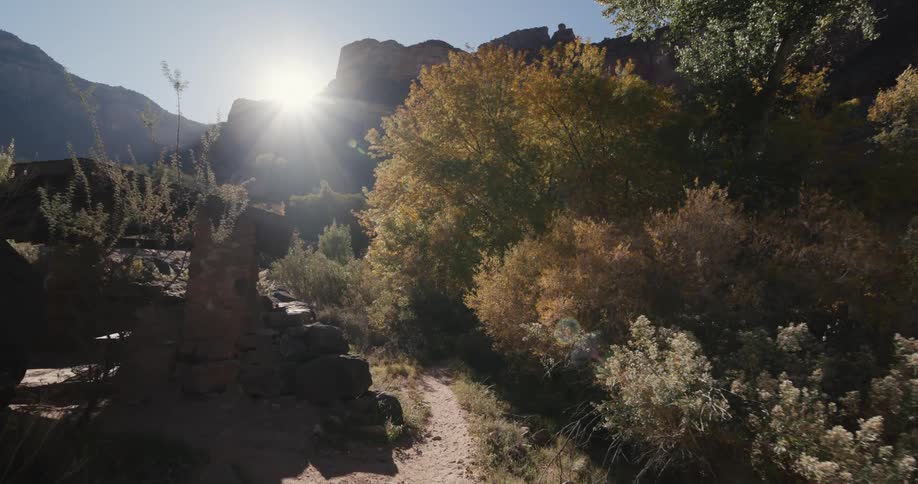 A trail through the trees leading towards the mountains passes by a covered picnic area