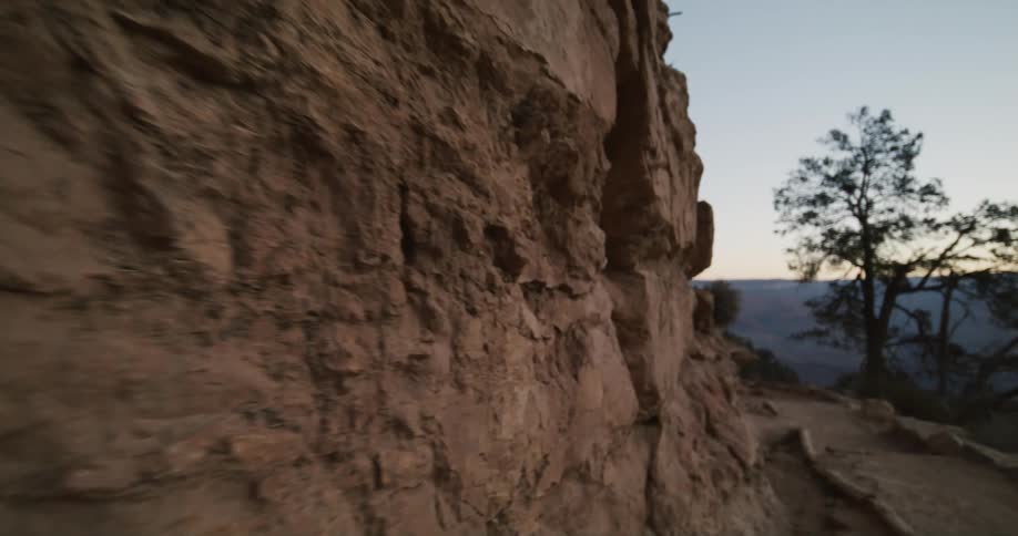 A tree grows at the bottom of a canyon
