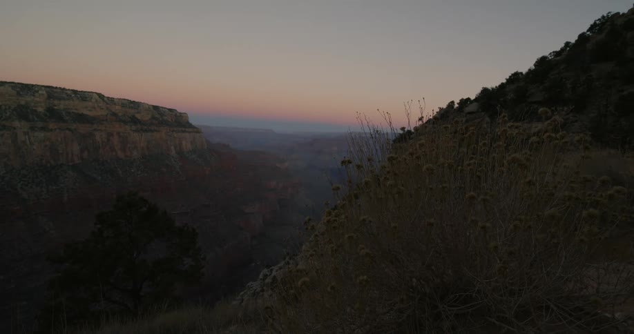 A dried flower bush blows in the breeze on a rocky slope of a canyon at sunrise