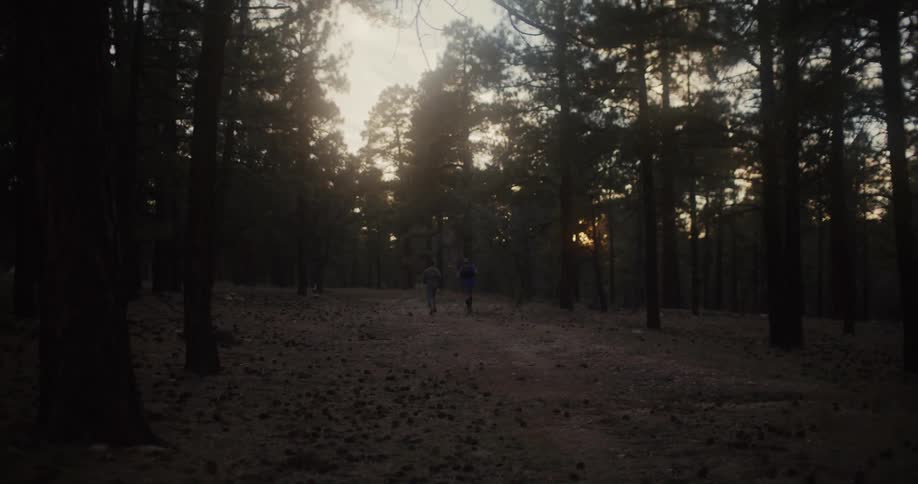 Two people are running through the woods as the sun is setting