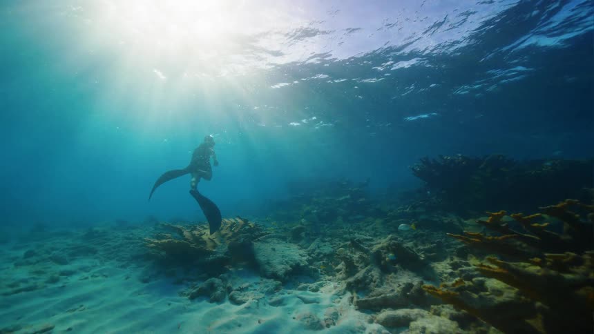 A man swims under water in the ocean