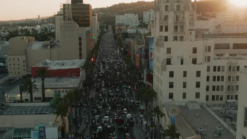 A crowd of protesters occupy a street in a metropolis during the day