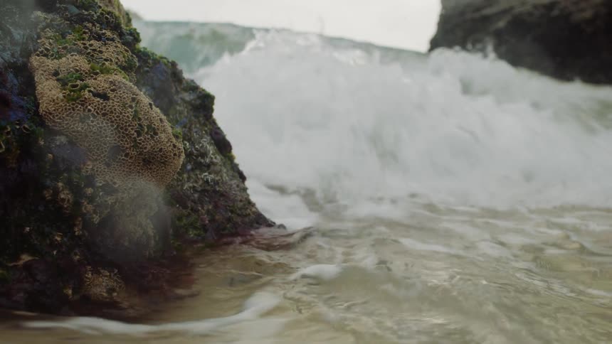 Foamy waves churn and crash against the rocks