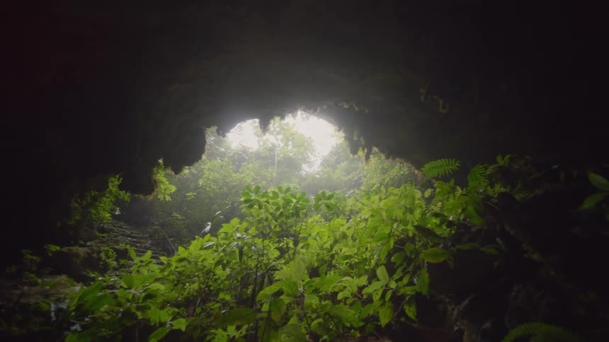 The cave is foggy and full of green