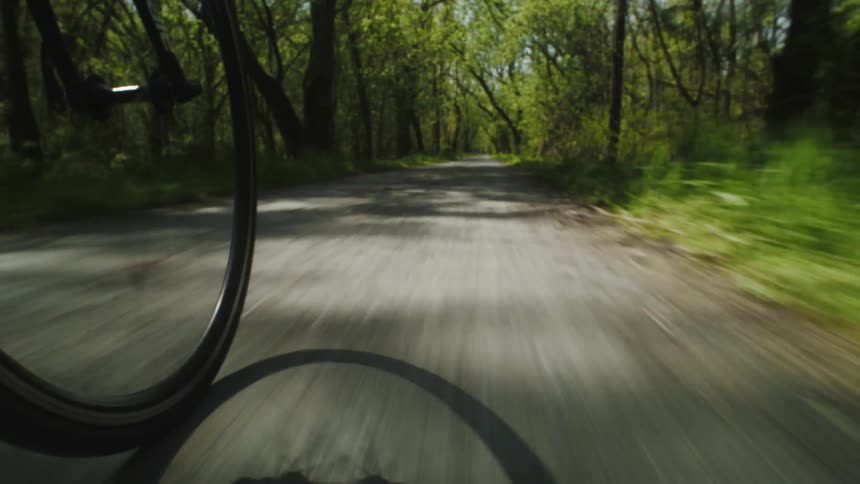 A bicycle travels along a path through a woodland during the day