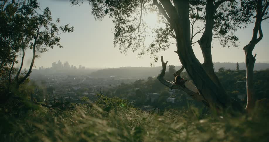 A person is laying on the branch over the cliff