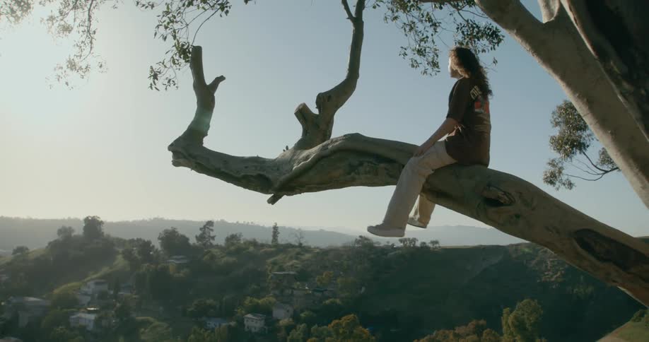 A teenager sits on a tree limb above a neighborhood