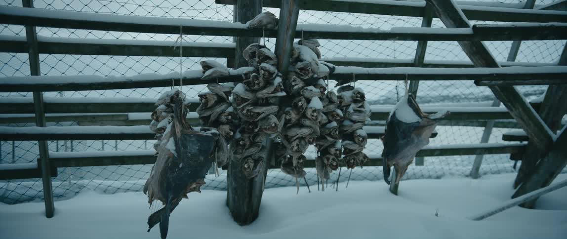Stacks of fish are frozen by the fence