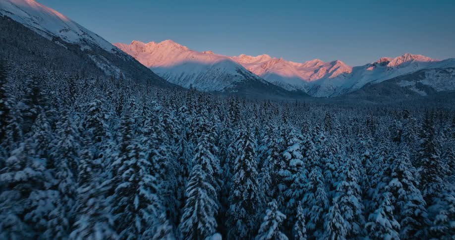 A forest filled with snow covered trees and snow covered mountains in the distance under a clear sky