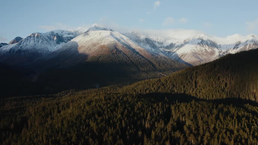 A vast forest covers the uneven countryside below a snowy mountain on a sunny day